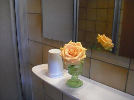 Hotel Landgasthof Wallburg Eltmann エクステリア 写真
